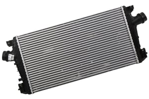 Image of 20979494