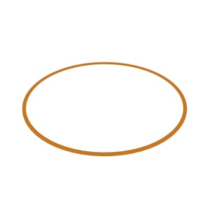 Back-Up Ring
