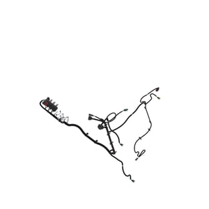 Image of AUC17394