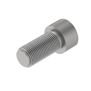 Screw