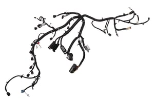 Image of 22910006