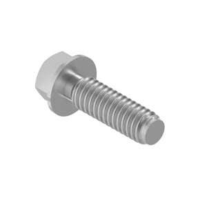 Screw