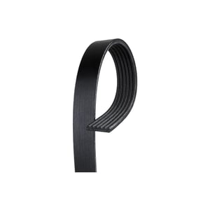 Image of 12593774
