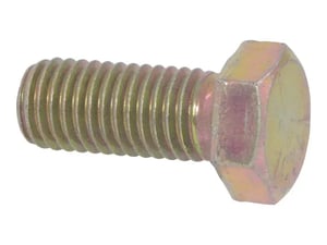 Image of 10700602