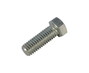 Image of 10700303