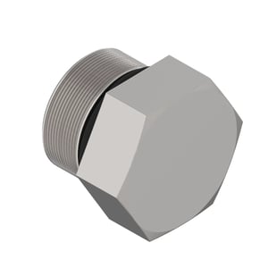 Fitting Plug