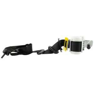 Image of RL1Z40613B85BB