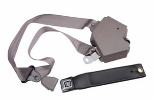 Image of 12510331