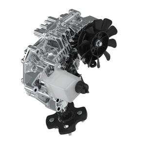 Image of AUC15359