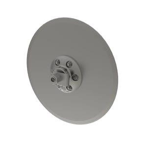 Disk