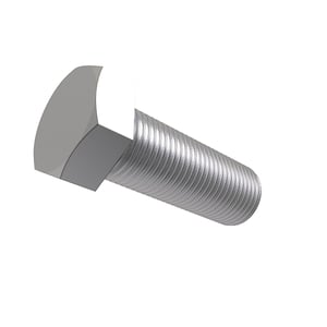 Screw