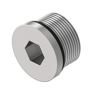 Fitting Plug