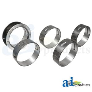 Bearing Set, Main (Std)