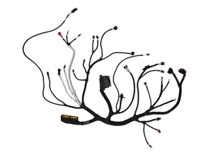 Image of 7000722