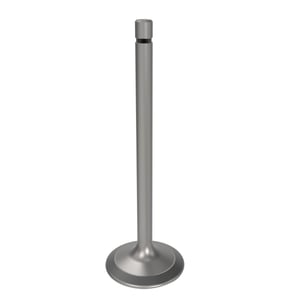 Intake Valve