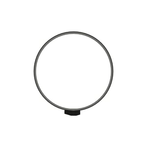 Strap With Buckle