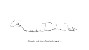 Image of 23507406