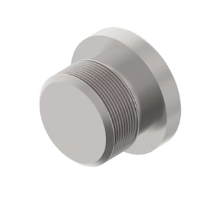 Fitting Plug