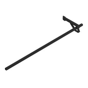 Arm