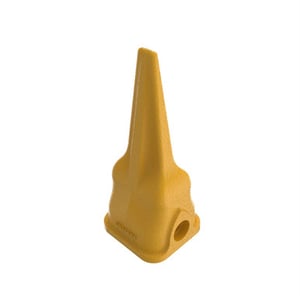 Tooth