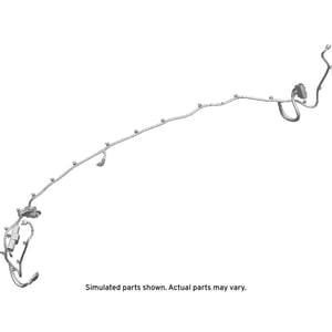 Image of 42835893