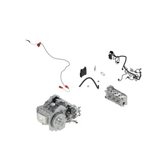 Image of AUC17804