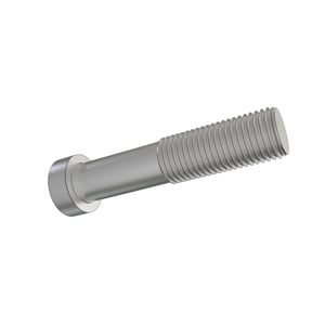 Screw