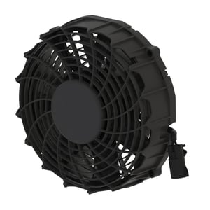 Fan