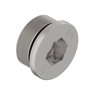 Fitting Plug