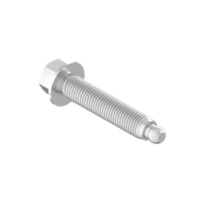 Screw