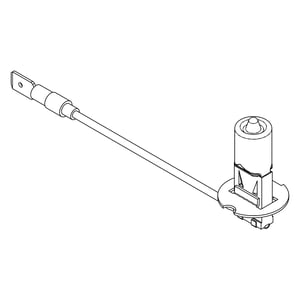 Bulb