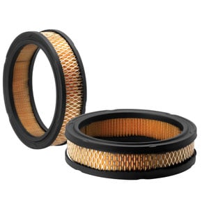 Filter, Air (QTY 1)