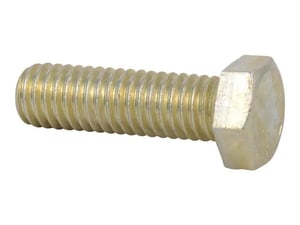 Image of 10700205