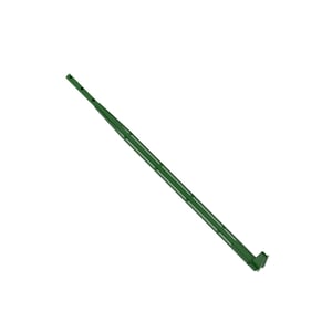 Arm