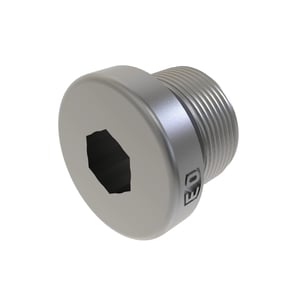 Fitting Plug