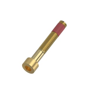 Screw