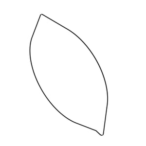 Image of HXE176896