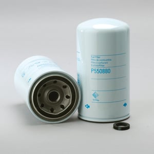 Image of P550880