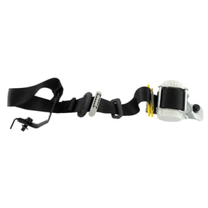 Image of RL1Z40613B84BD