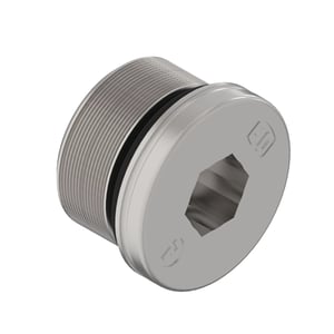 Fitting Plug