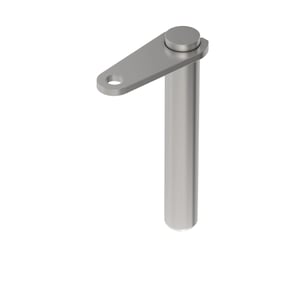 Pin