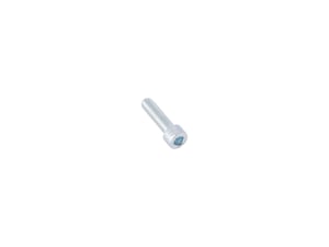 Image of BV013700