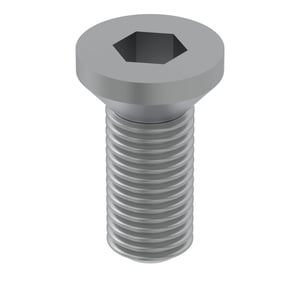 Screw