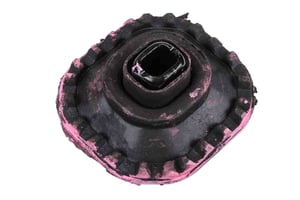 Image of 25728545