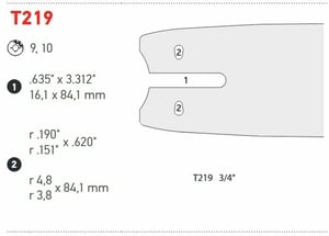 Image of 321SNCT219