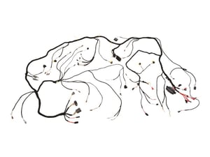 Image of 1001169620