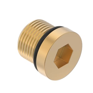 Fitting Plug