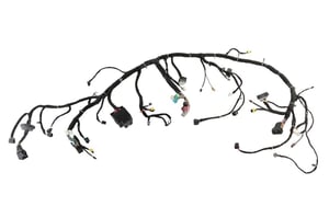 Image of 23444628