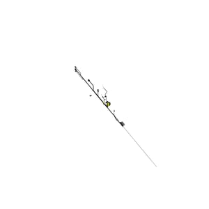 Image of RE564408