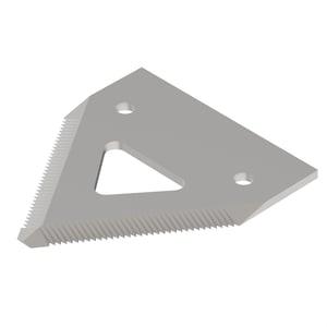 Section